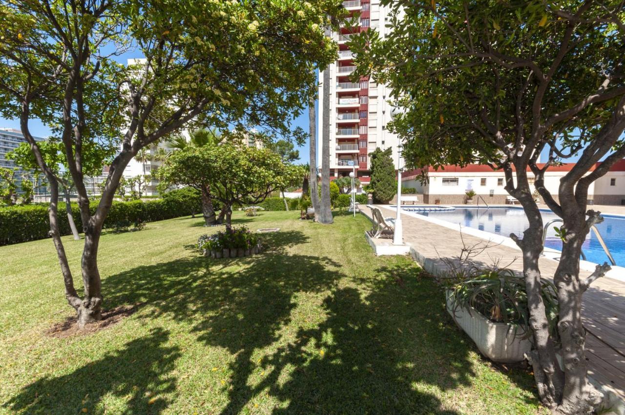 Appartamento Ag Aquarium Playa de Gandia Esterno foto